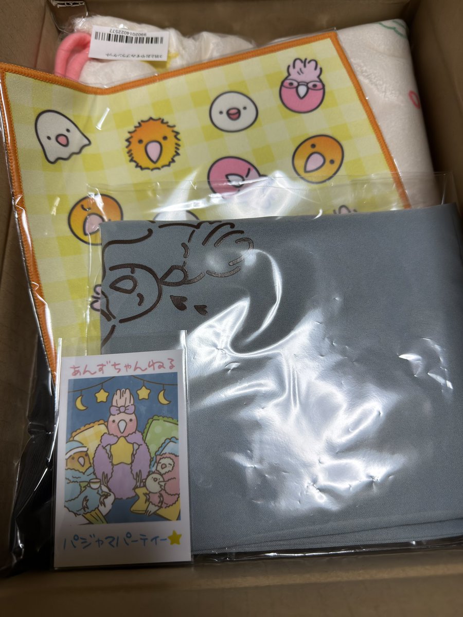 𓅫インコと暮らすあんず 𓅫𓅫 ⁎⁎ (@anz_omomiri) / Posts / X