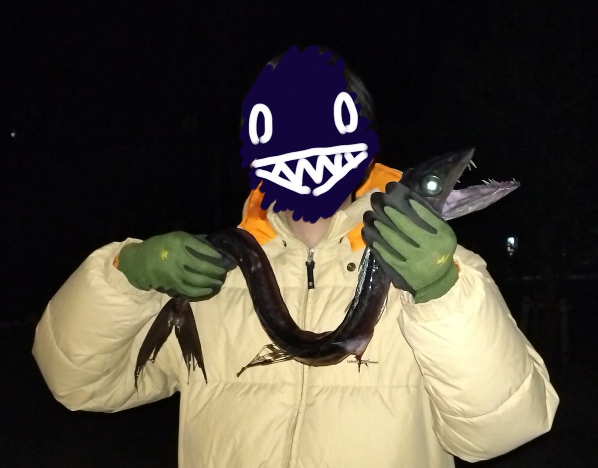 四脚魚.𓆛𓃗 tweet media