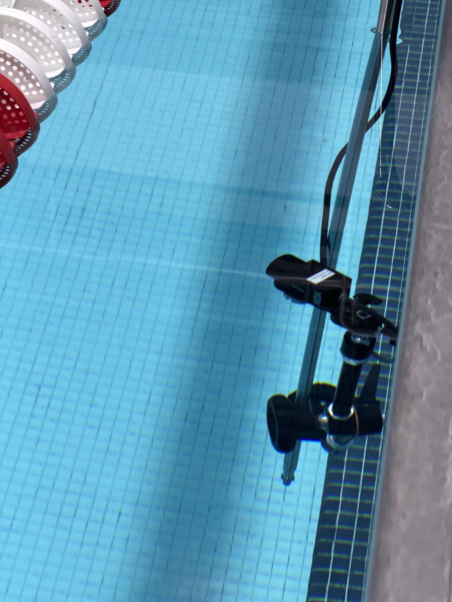 Imry Halevi tweet media