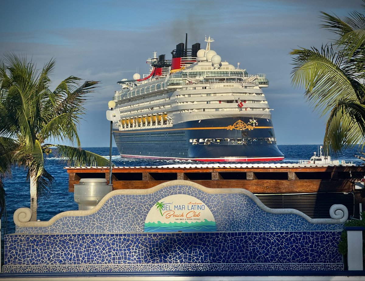 LeventMagic tweet media