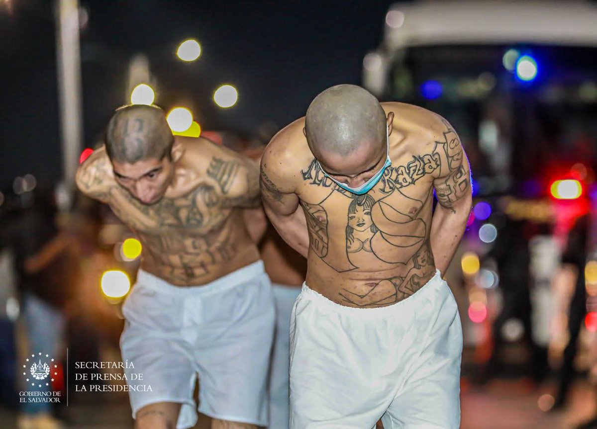 EL MIEDO CAMBIÓ DE LUGAR; SE CUMPLEN 3 AÑOS DEL CECOT 

A tres años de la puesta en marcha del Centro de Confinamiento del Terrorismo (CECOT), el Gobierno del presidente Nayib Bukele destaca la consolidación de una política de seguridad que marcó un antes y un después en la