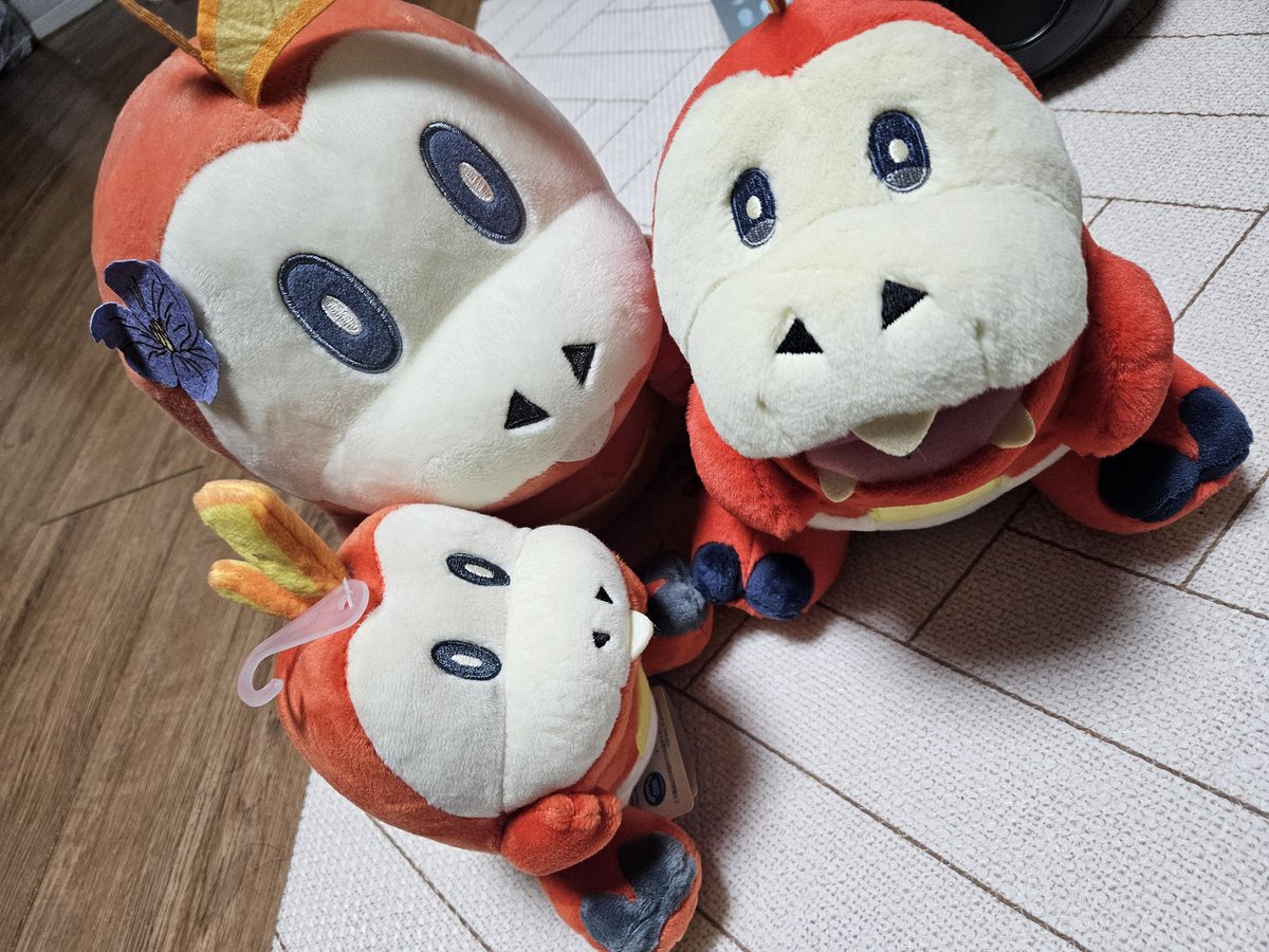 뜨아거 가족완성