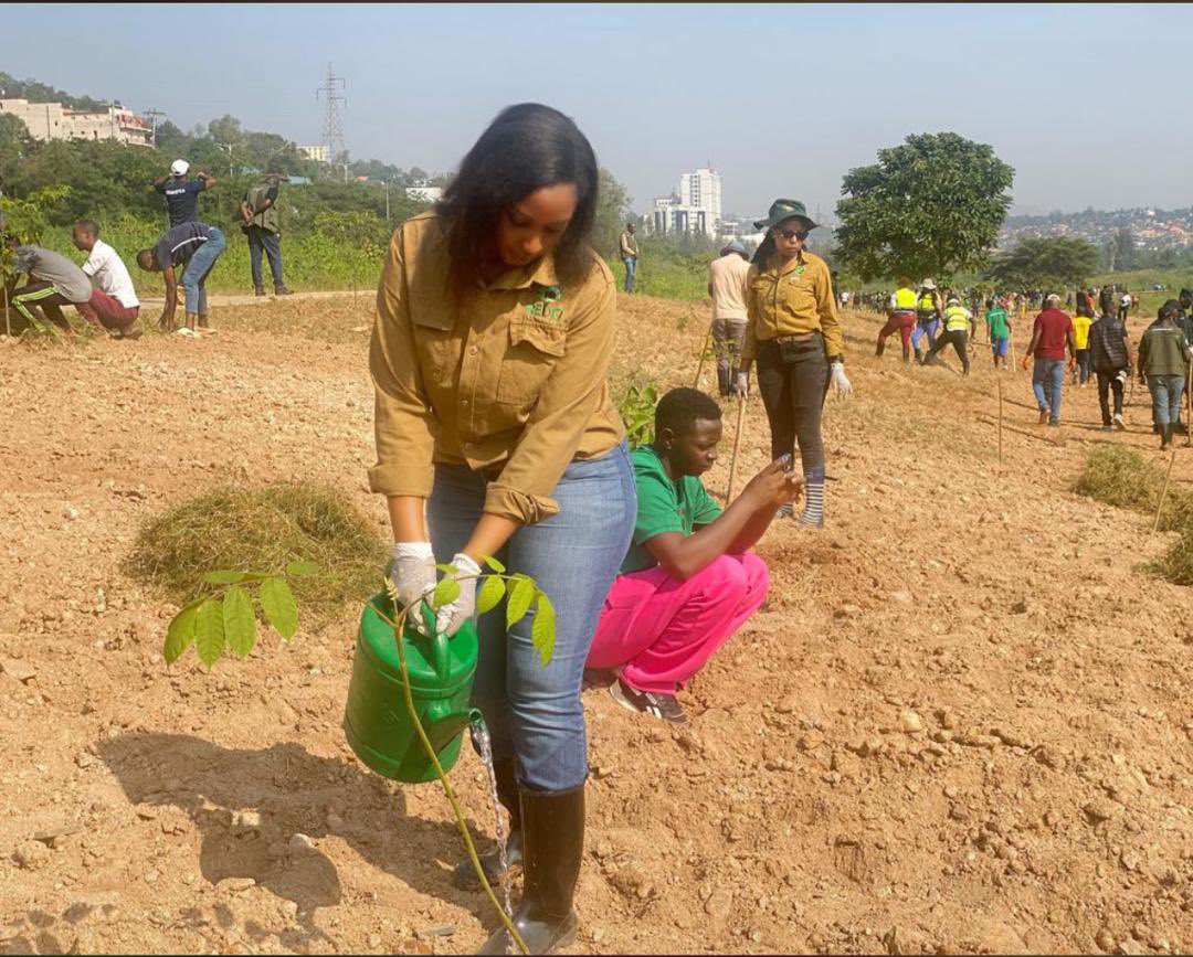 Rural Environment and Development Organization tweet media