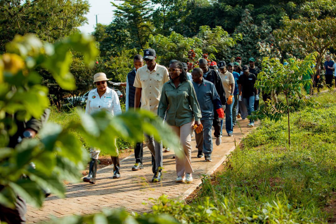 Rural Environment and Development Organization tweet media
