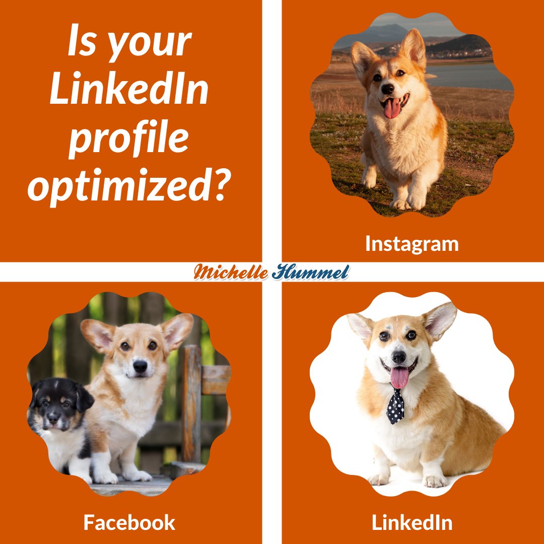 Michelle_Hummel's tweet image. Did you know LinkedIn is the #1 business #networking site? Having a professional profile is critical to your success, and I'm not just talking photos. My training course will help you get the most advantages. Sign up today! bit.ly/3HwfJAt #biztips #neverstoplearning #b2b