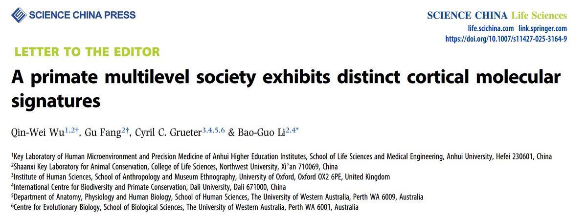 Cyril C. Grueter tweet media