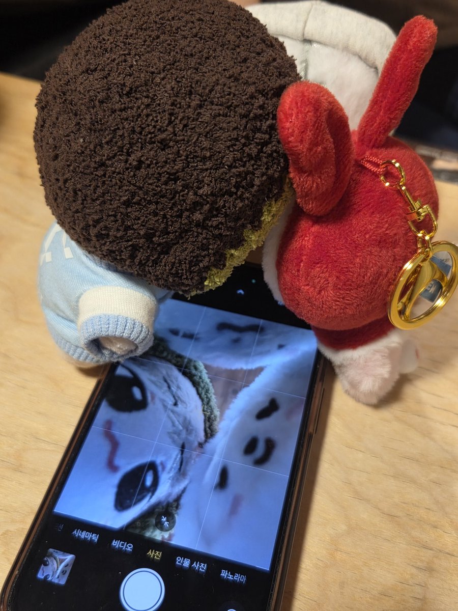 진짜 디지게 귀여움
멍멍찬이랑 호찌랑 토람이