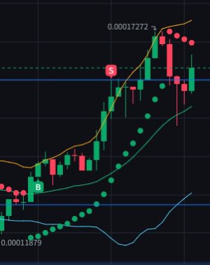 暗号通貨 先物超初心者です。これまで博打感覚で銘柄を選んでいました。焼け焦げて、一時撤退してました。銘柄の選定は本当にわけがわかりません。

ですが今回は手探りながらに、博打ではない理由で狙ってこうなりました！

これは確実に、PalAcademyの中で学んだ事からの結果です✨

<a href="/palpalNFT/">palpal</a>