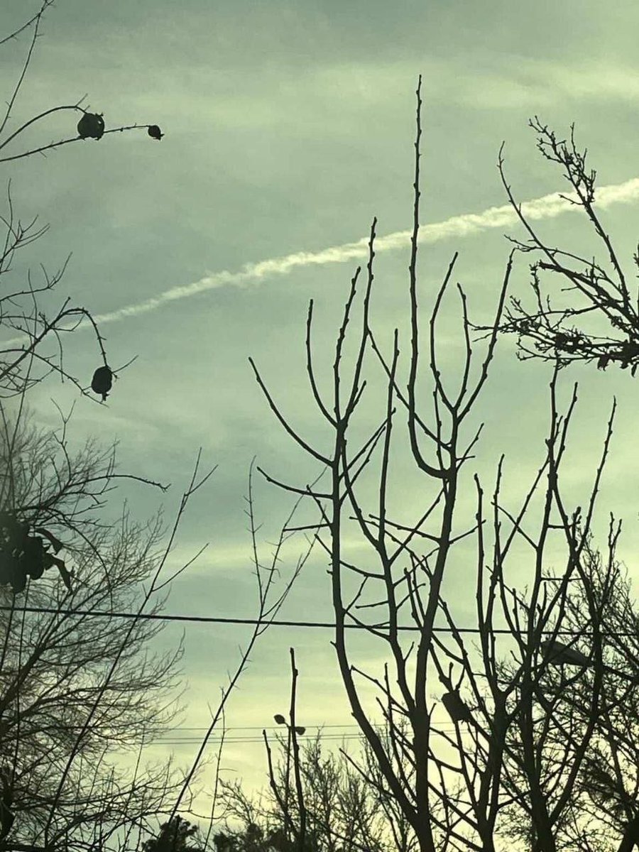 🚨عاجـــــــــــــــل 
🟩☫🟥
الصواريخ الإيرانية التي يتم مشاهدتها في عدة مناطق في طهران وتبريز ناجمة عن مناورات وتدريبات واسعة مستمرة