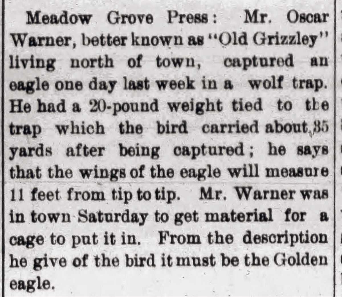 oddoldnews's tweet photo. Giant Eagle

The Norfolk Weekly News, Norfolk, Nebraska · Thursday, December 28, 1899 https://t.co/PfirHW3cqV