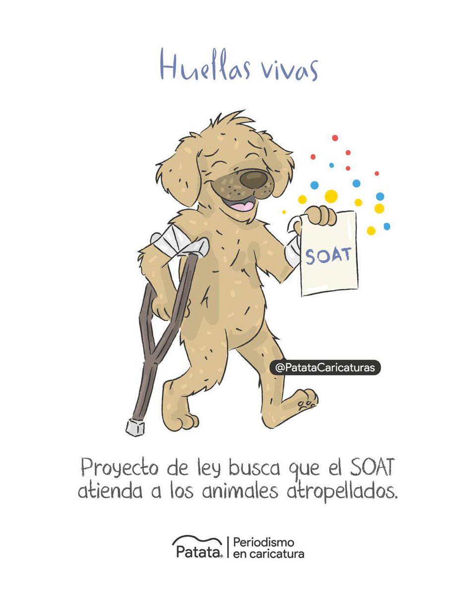 🐾🚗 Proyecto busca que el SOAT atienda a animales atropellados.
🧵