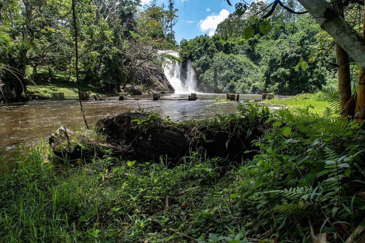 Somewhere in the district they call Mukono…
⁦<a href="/TonyOwana/">Tony Geoffrey Owana</a>⁩ ⁦<a href="/IamEddieOkila/">Eddie Okila</a>⁩ ⁦<a href="/Comrade_Otoa/">Tony Otoa</a>⁩ ⁦<a href="/asiimwe4justice/">Jacqueline Asiimwe</a>⁩