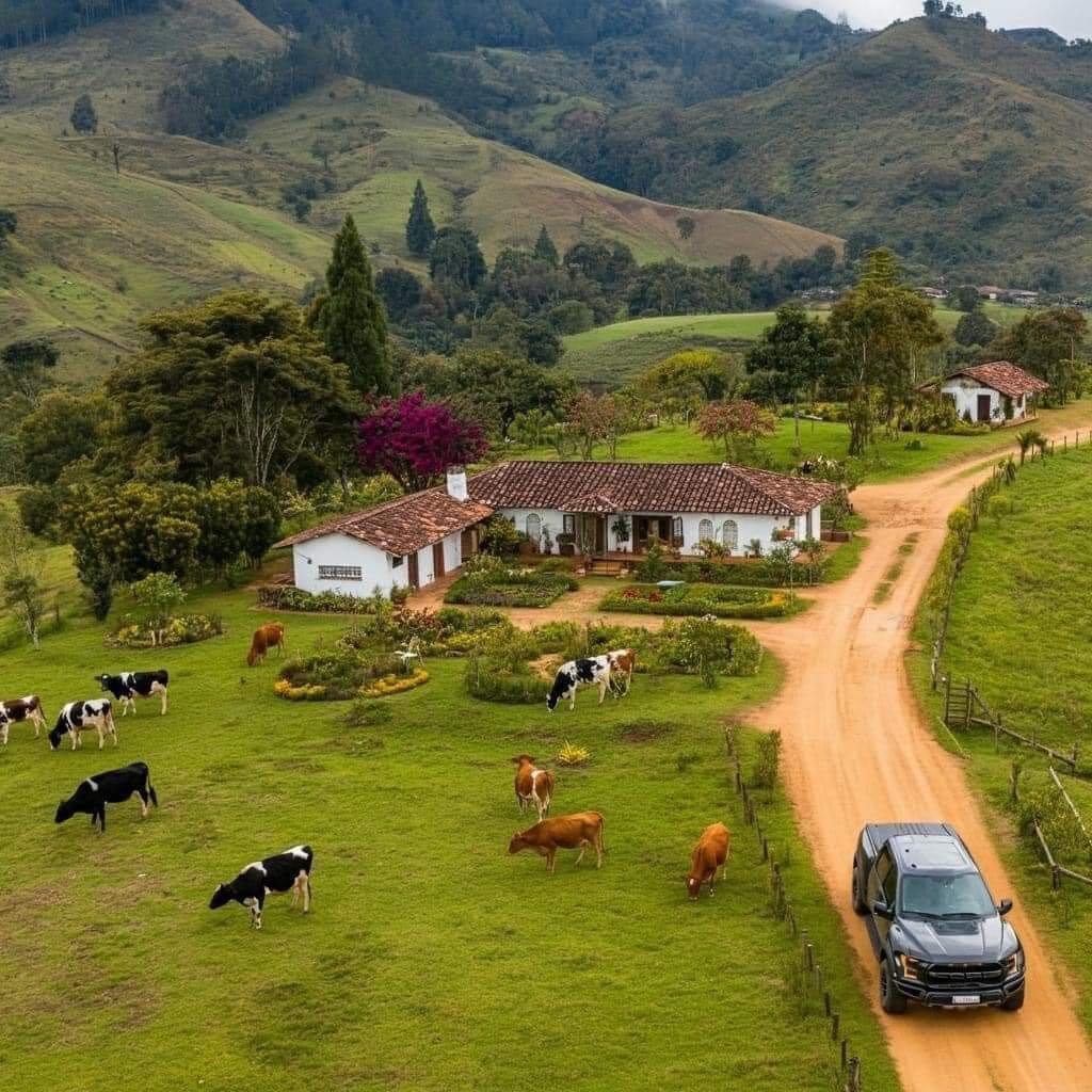 Bandidosfrases's tweet image. “Quiero una vida llena de lujos”
Los lujos: