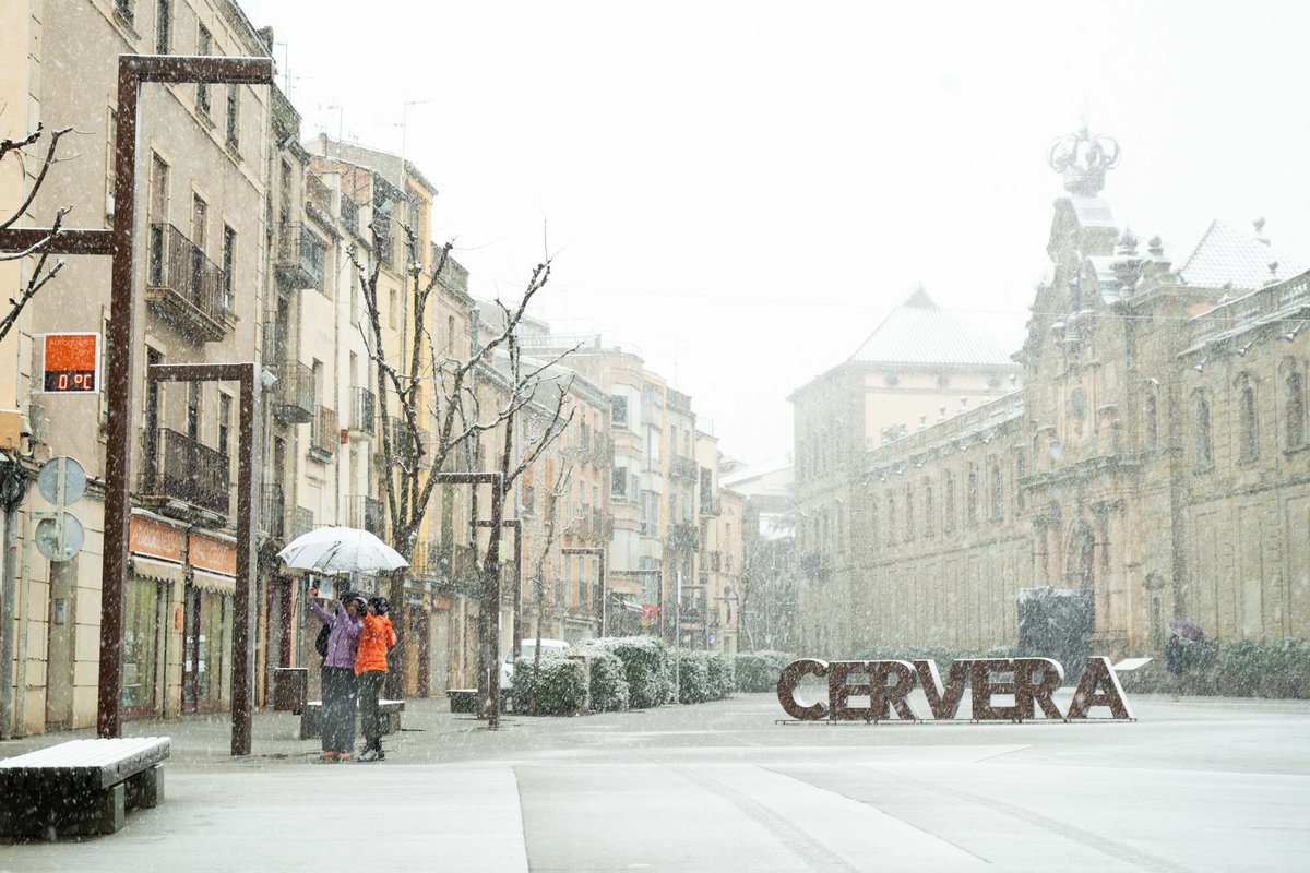 Jordi Prat tweet media