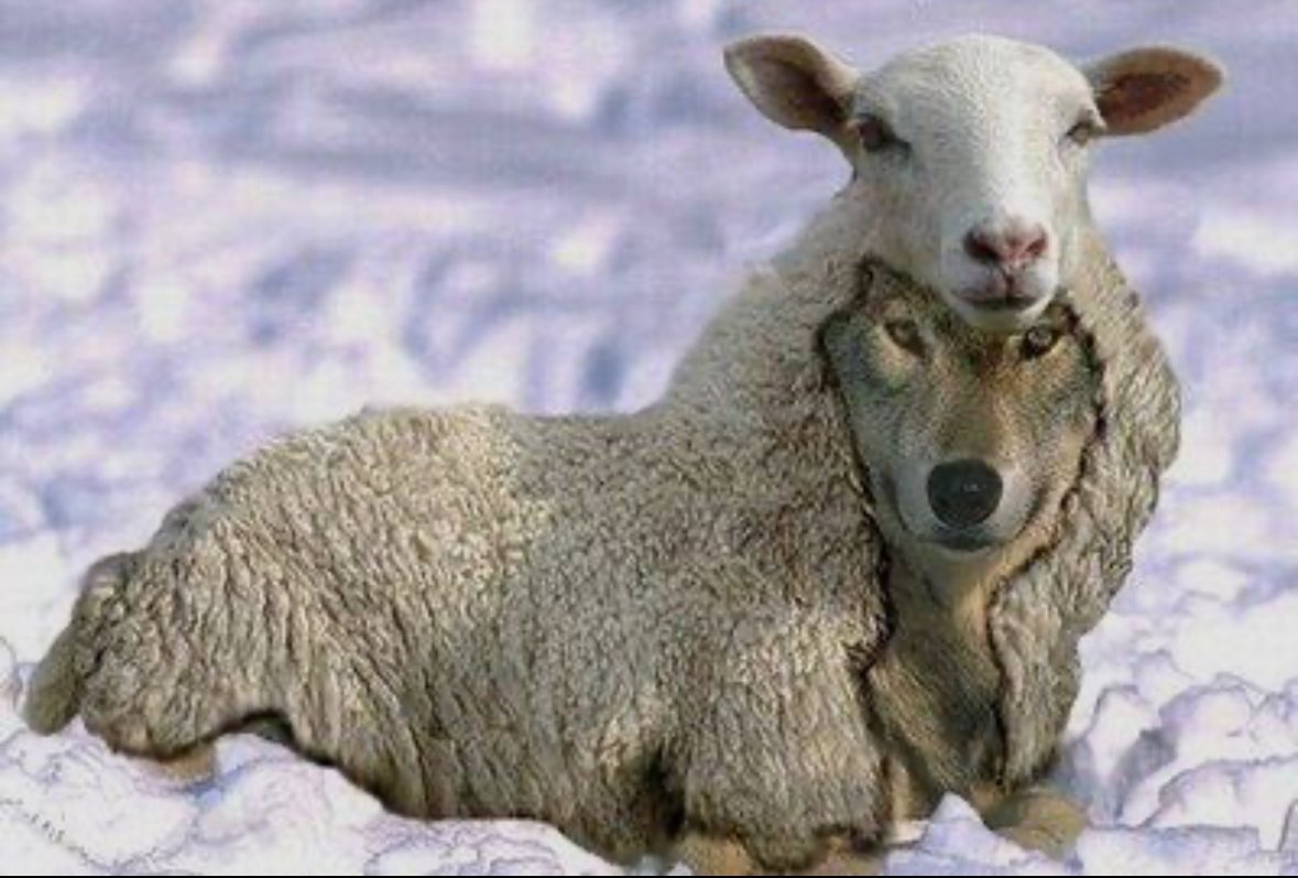 shroffanant's tweet image. Every time something positive with India is nearing, vindictive US is seen publicly ostracizing India ?

Is US our friend/ally or a wolf under the sheep’s skin.