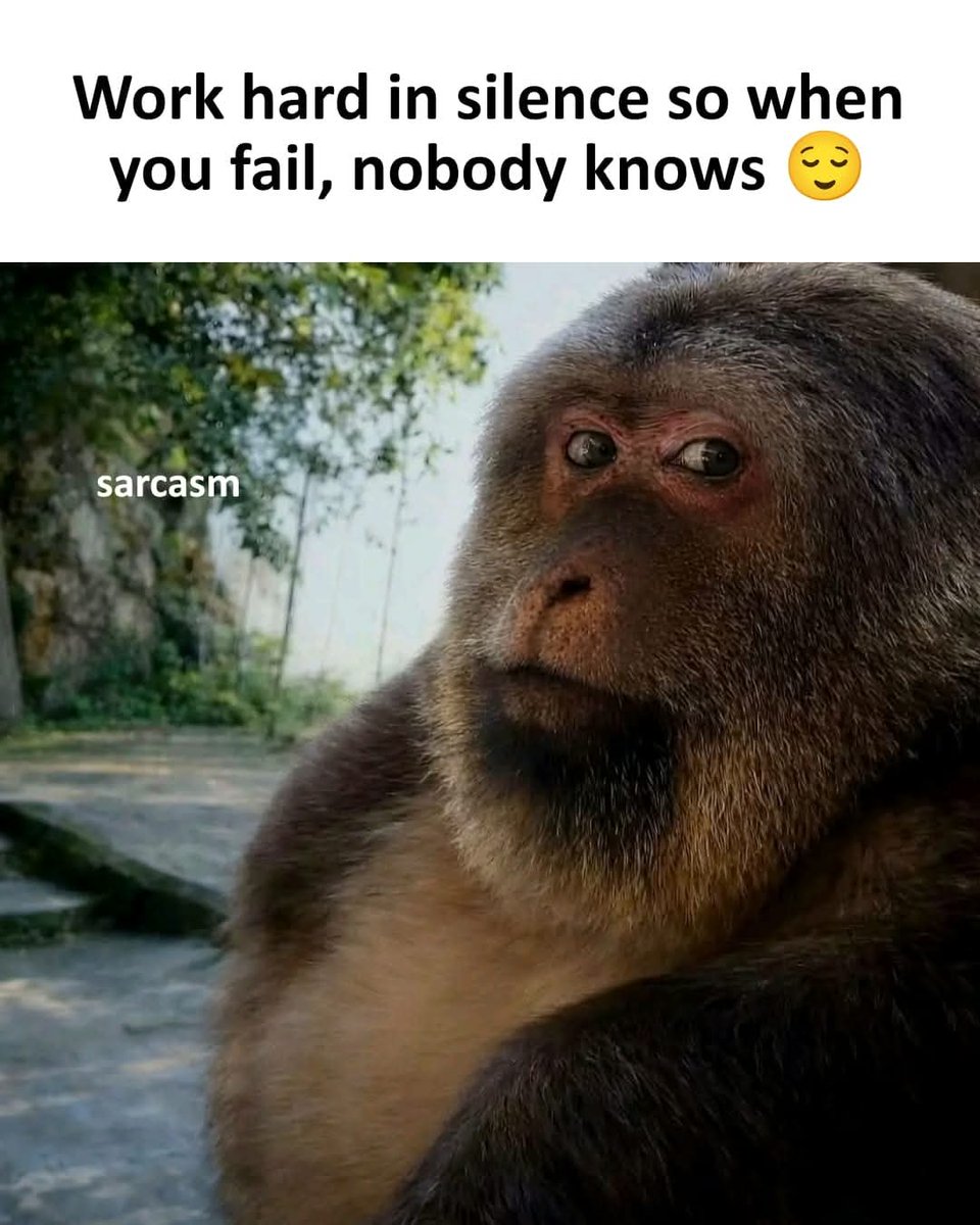 Dr. HoneyBall (@honeyballd62918) on Twitter photo 