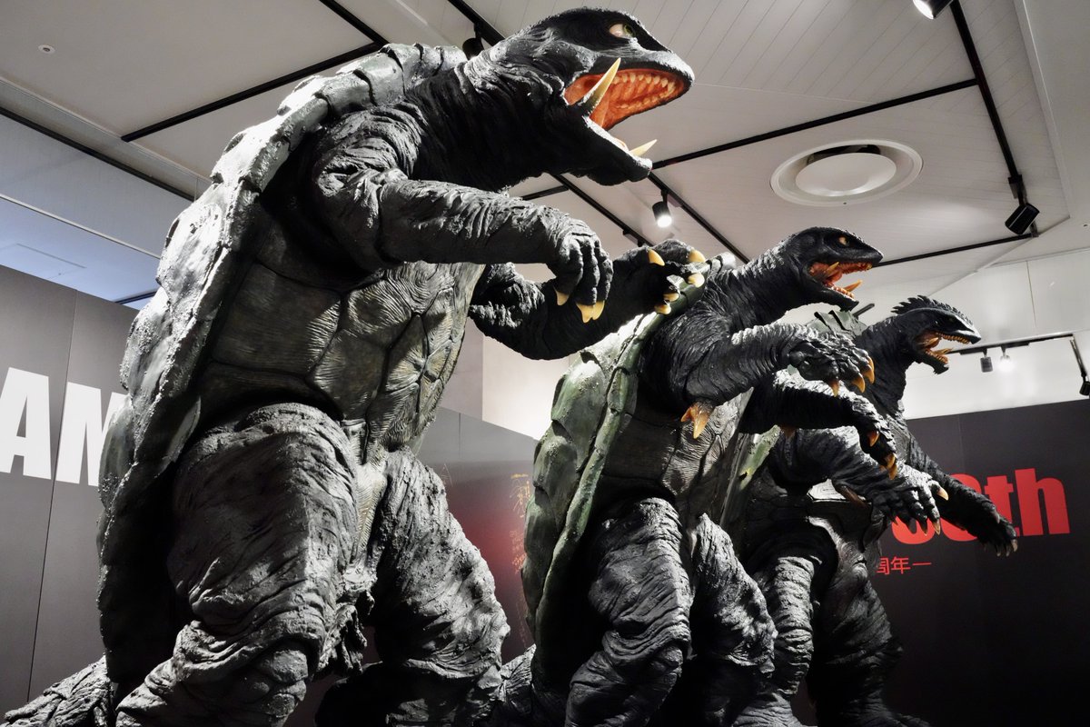 未来行き (@miraiyuki224) / Posts / X