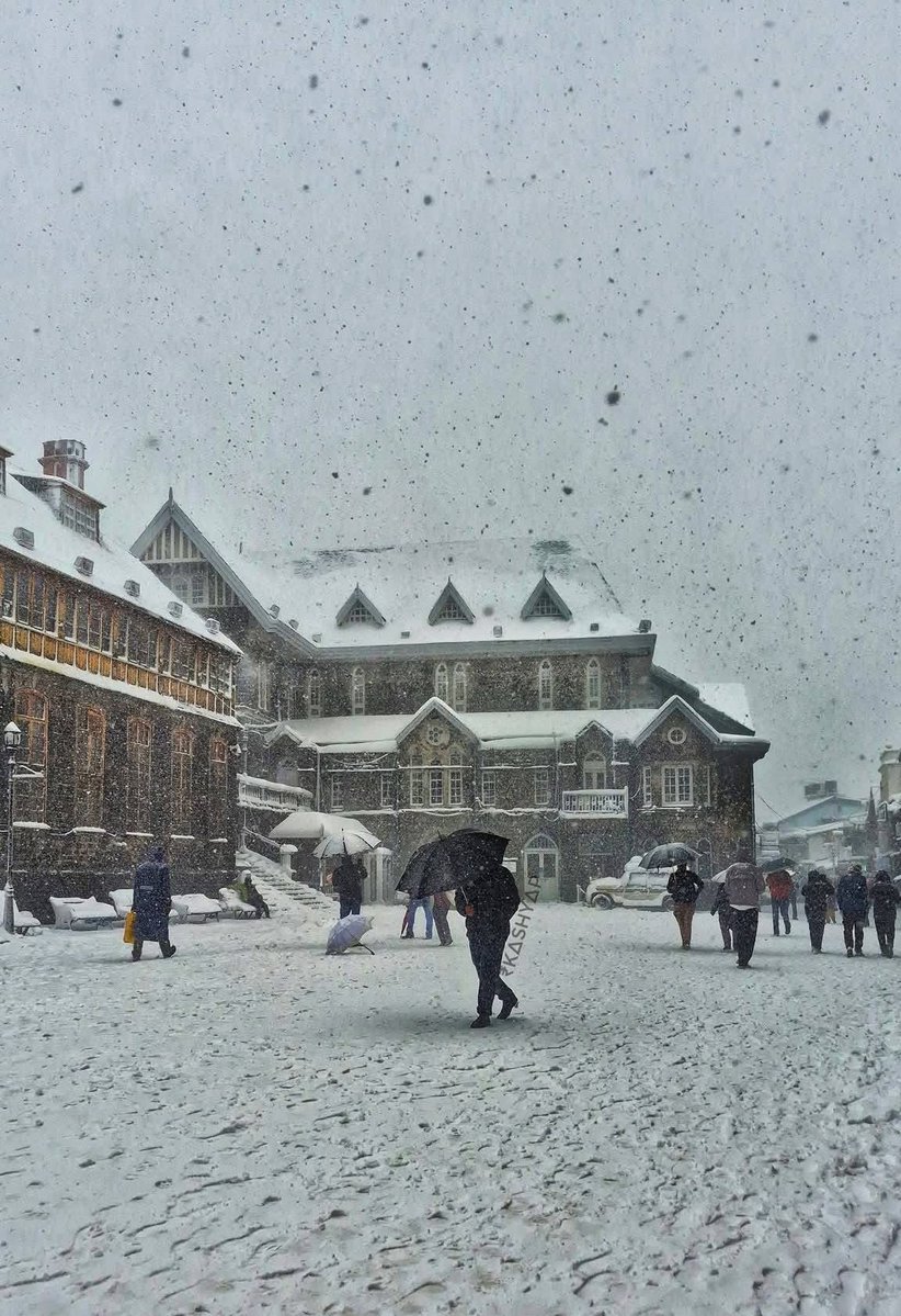 Shimla, the Queen of Hills, still proudly wears her snow crown. 👑