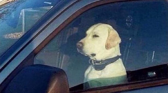 hashjenni's tweet image. when u accidentally block an intersection and everyone is staring at you