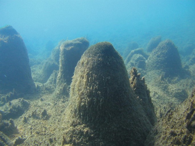 Masaki Shimamura tweet media