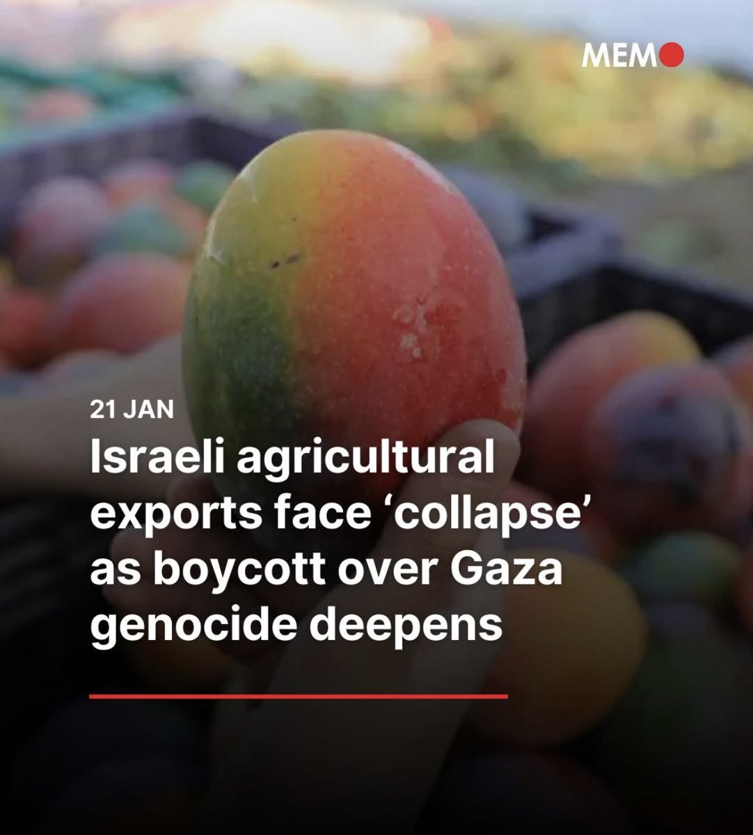 Boycott. Divest. Sanction. Until such time as those who inflicted war crimes on the Palestinian people are brought to justice.