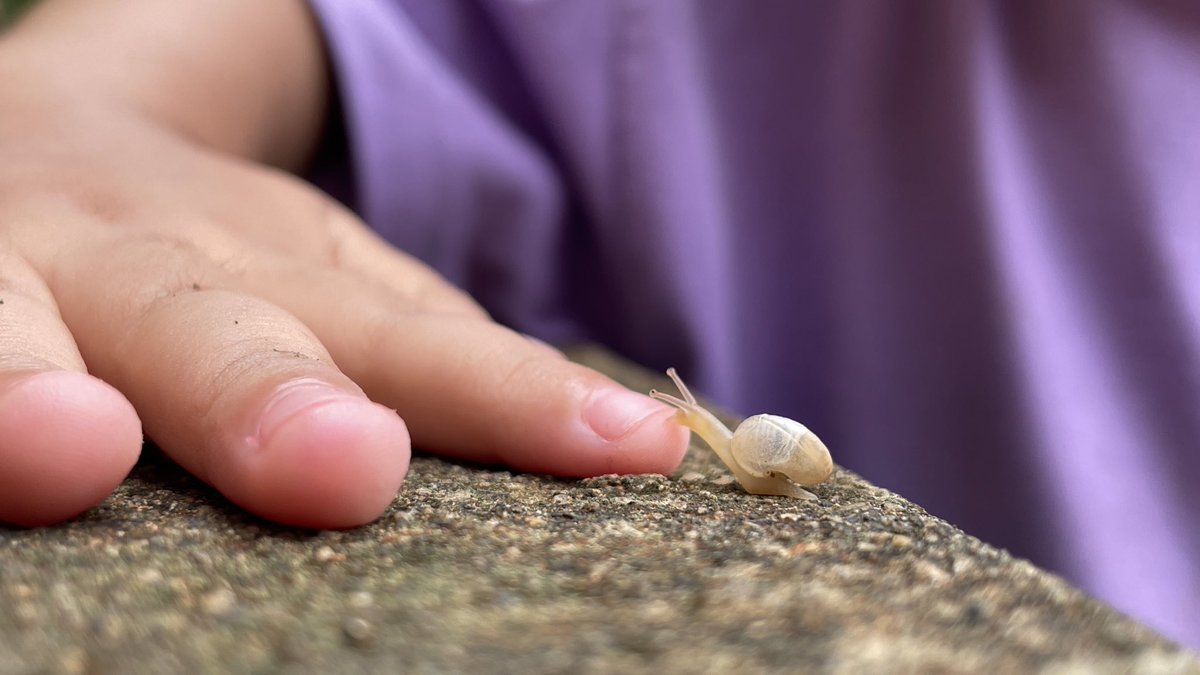 猿｜theapE tweet media