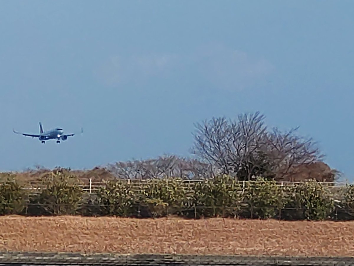 ponsuke3000's tweet photo. こんばんは😊本日は山口宇部空港へ散歩に行きました👍アシアナ航空による国際チャーター便、ソウル行きのエアバスA321neoを撮影しました✈️👍瀬戸内の我が町の空港に国際線の飛行機がいるのは素晴らしいですね~🛫🤗🛬👍 #山口宇部空港 #アシアナ航空 #ubj #飛行機好きの人と繋がりたい #山口から海外へ https://t.co/JsUW2c8ngW