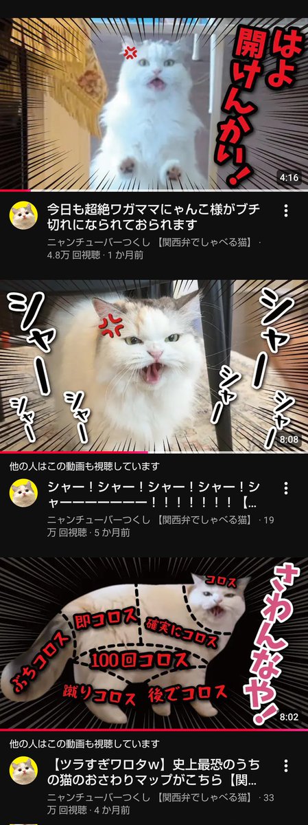 ニャンチューバーつくし (@tsukushitube) / Posts / X