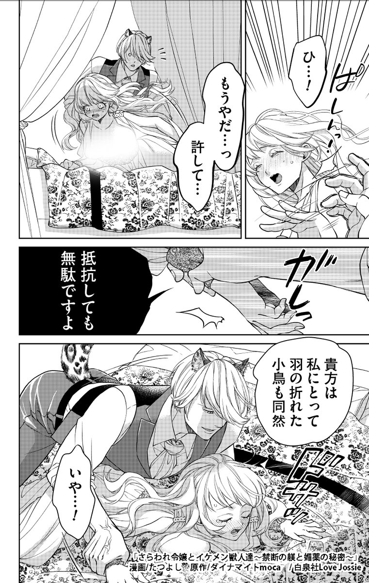 躾を行う豹の獣人ジェイドは超絶イケメンで… 