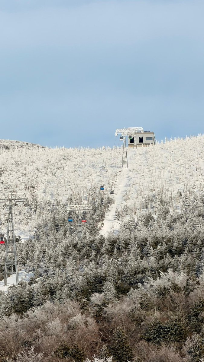 Throw back last year Tohoku trip part 2 - Yamadera and Zao snow monsters.