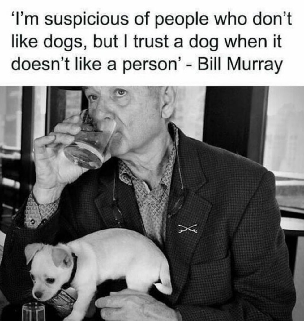 'I'm suspicious of people who don't like dogs, but I trust a dog when it doesn't like a person' - Bill Murray.