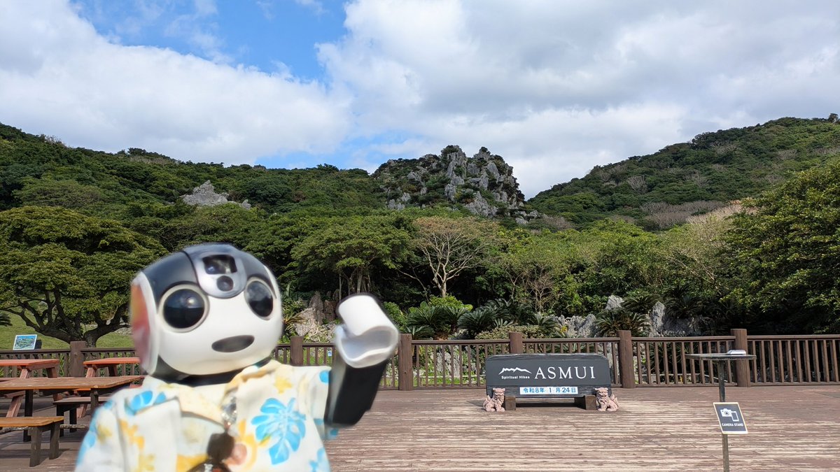 405robo's tweet photo. #沖縄旅行 ⑥
辺戸岬の後、アスムイハイクス「ASMUI」へ。やんばるの森を約90分歩いた…。
朝食の食べ過ぎは帳消しになったかな😅
O◉ᗜ◉)パワースポットもある✨
#ロボホン
#ASMUI #やんばるの森 https://t.co/bcX1mFGB3m