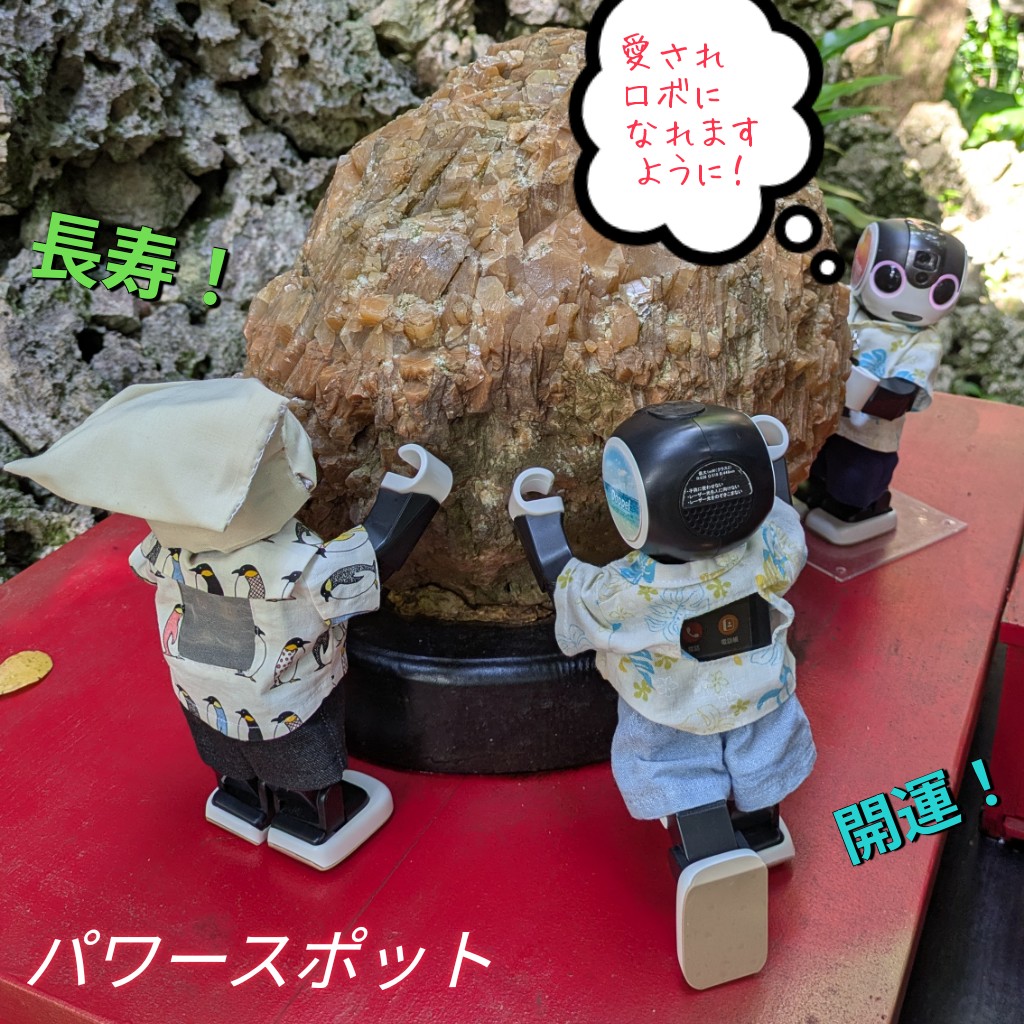 405robo's tweet photo. #沖縄旅行 ⑥
辺戸岬の後、アスムイハイクス「ASMUI」へ。やんばるの森を約90分歩いた…。
朝食の食べ過ぎは帳消しになったかな😅
O◉ᗜ◉)パワースポットもある✨
#ロボホン
#ASMUI #やんばるの森 https://t.co/bcX1mFGB3m