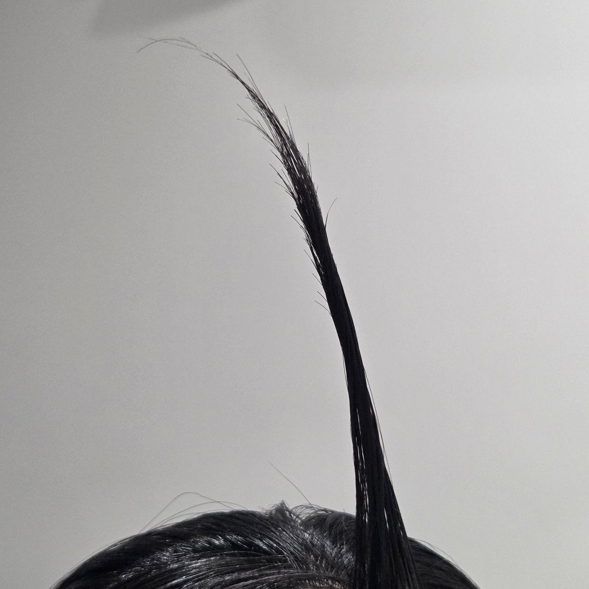 HANABIRA tweet media