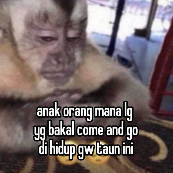 ≽^-⩊-^≼ tweet media