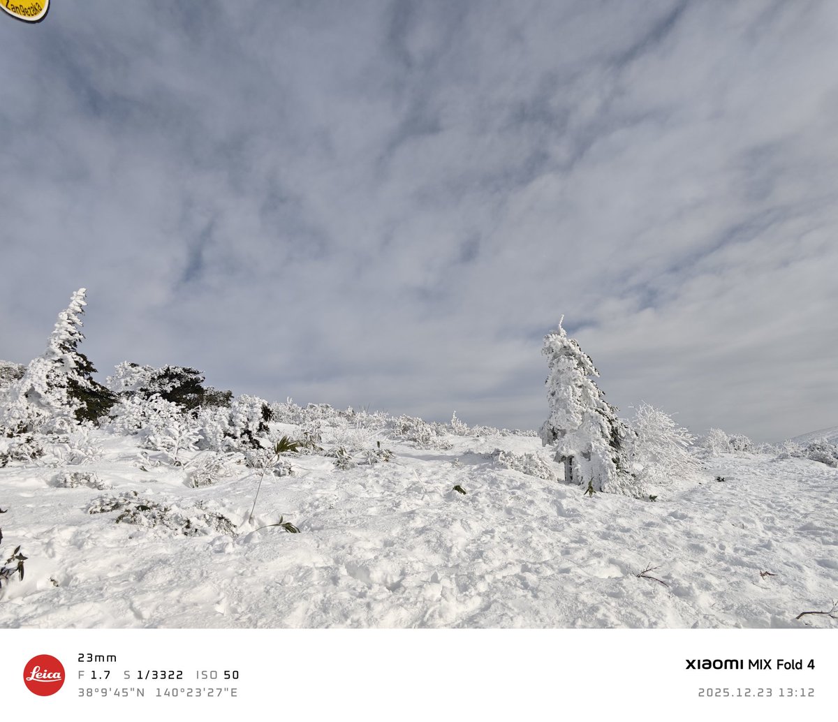 Throw back last year Tohoku trip part 2 - Zao snow monsters.