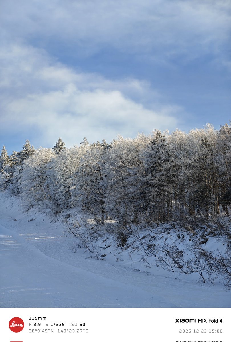 Throw back last year Tohoku trip part 2 - Zao snow monsters.