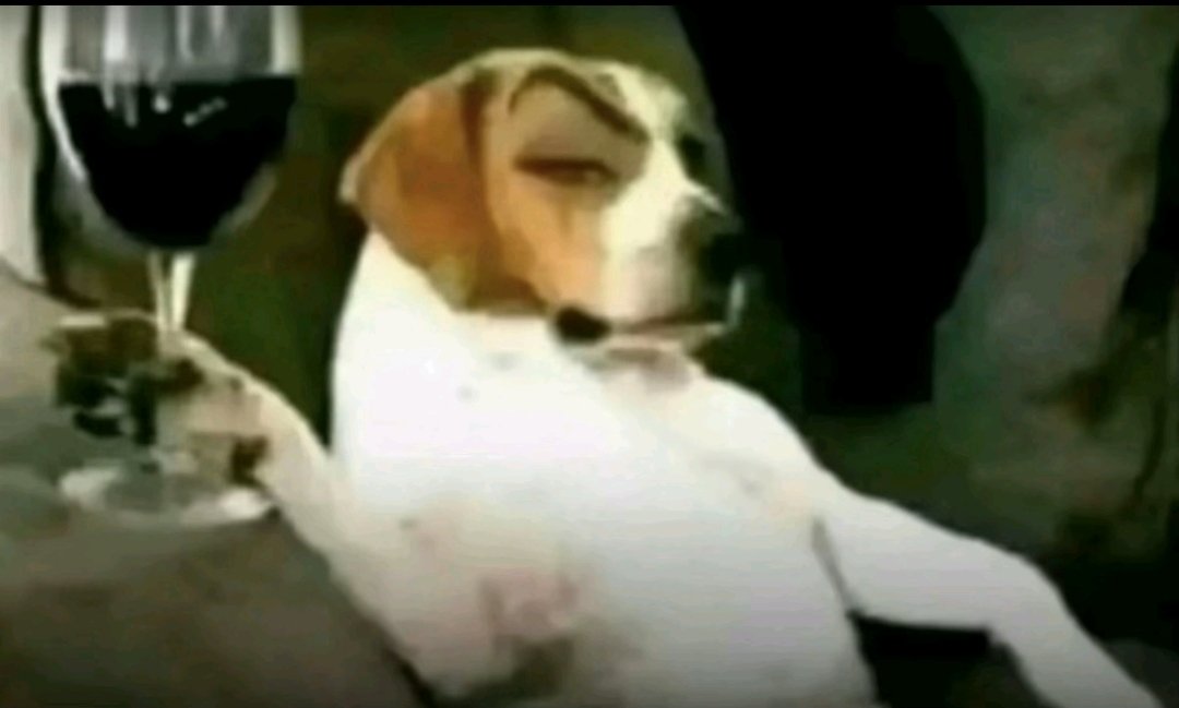 Ive been watching Bleach, right now im on episode 193! LOWKEY IM LOVIN' IT!!!