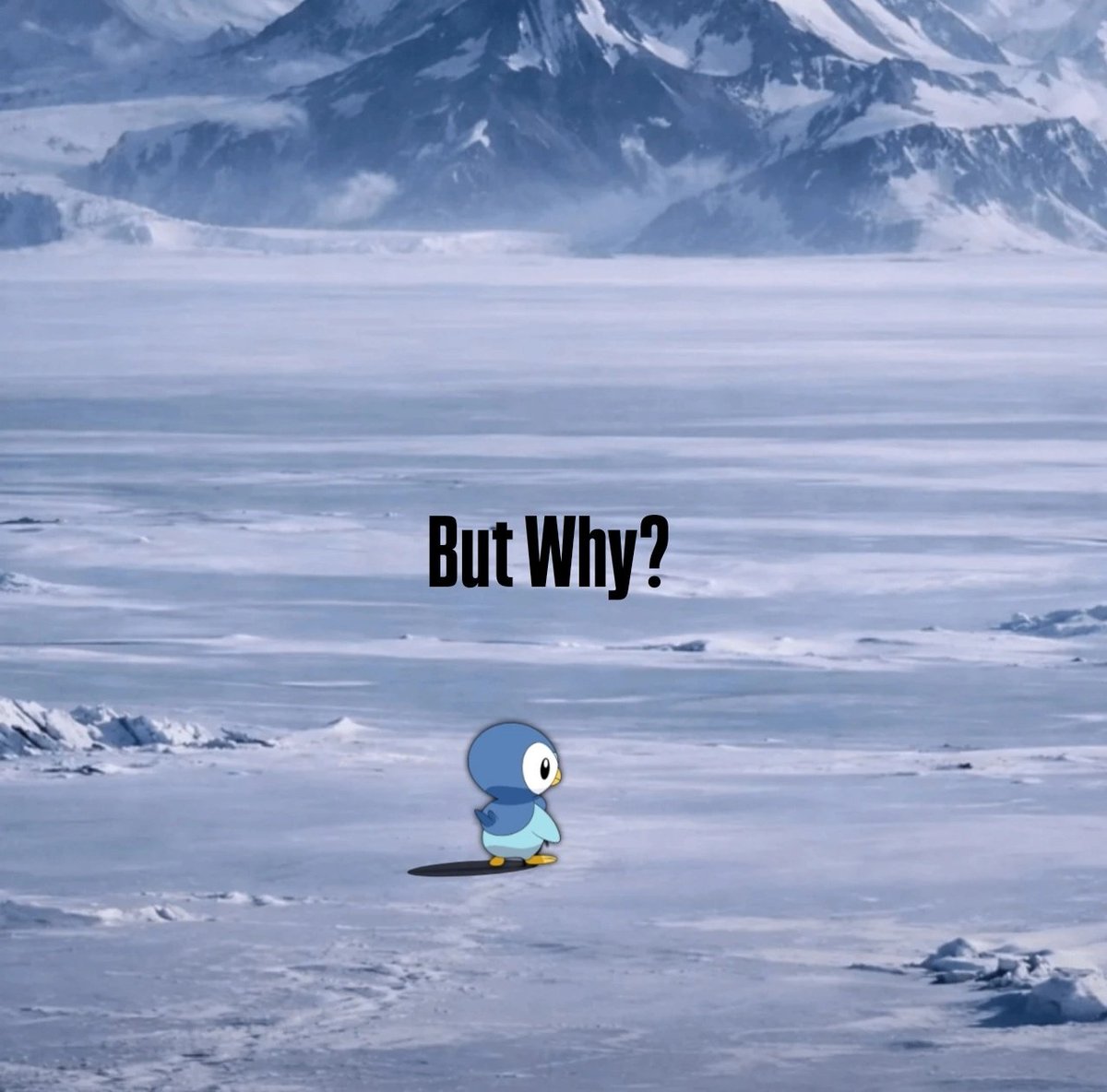 PokeDailyPost's tweet image. But why?