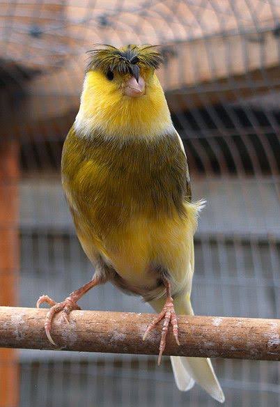 แม่ว่าไม่เหมือน ใครว่าหนู เดี๋ยวแม่จัดการเอง🤔

AAS FS IN NANJING 
#AuAuSaveFSinNanjing
#savewrg 
Cr.aascute