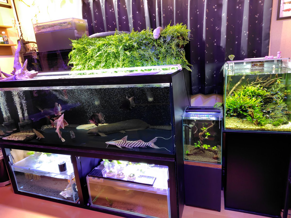 おろろ (@apQhxUfn22GfPkr) / Posts / X