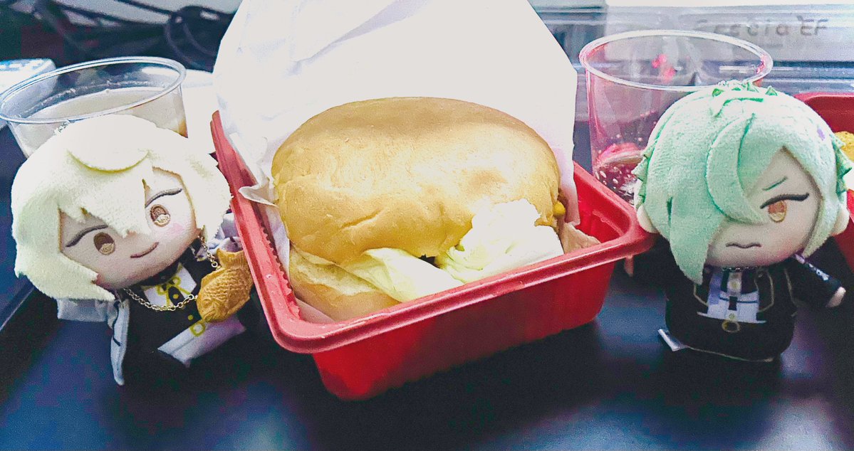 大きいハンバーガー美味しかったね🍔あにじゃ、ひざまる🦁🐍