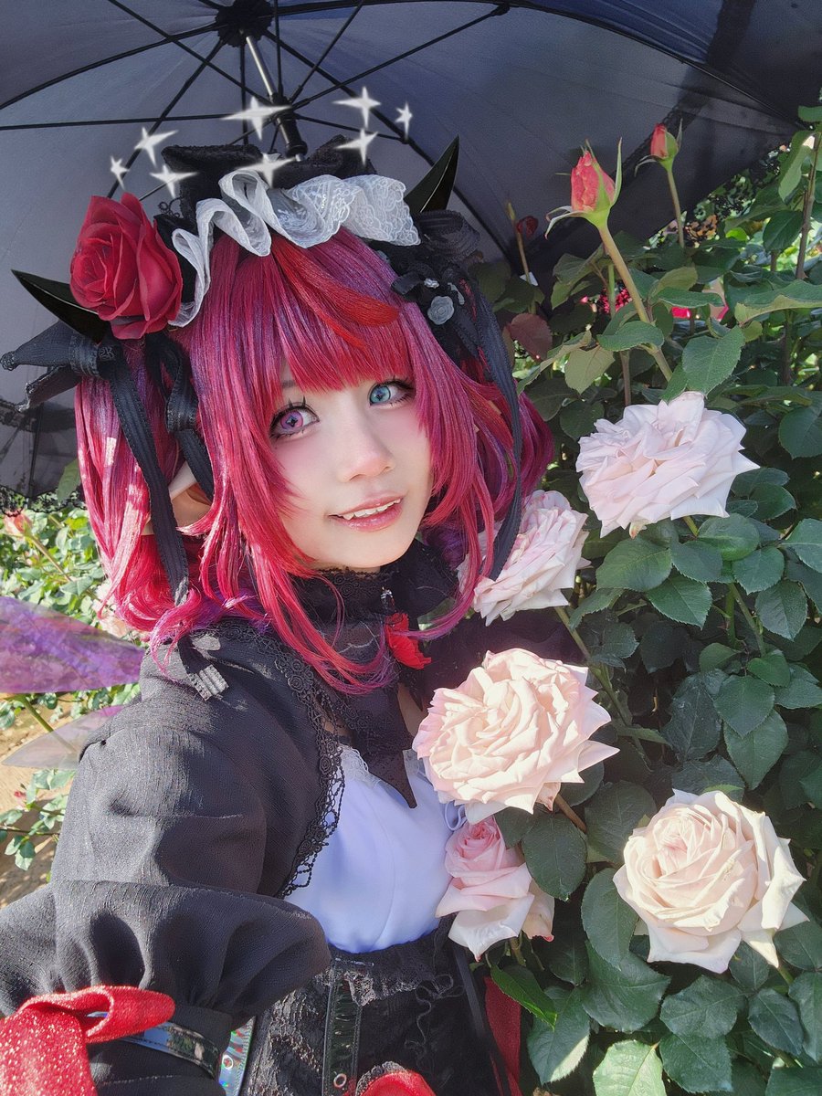Debut my OjouRyS costume at the Rose Garden, located at an elevation of 1180m and 701km from my home 😂 
#IRySart