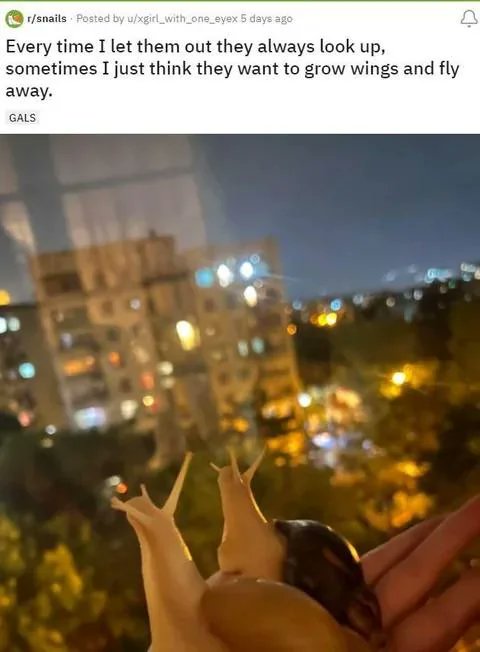 KrystalWolfyAlt's tweet image. Snails