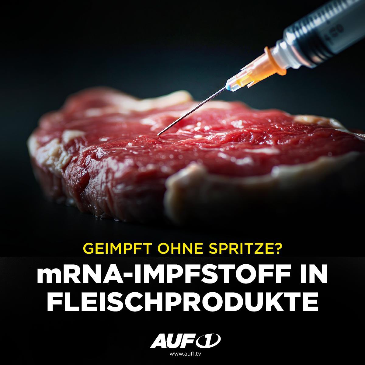 Schock in den USA:💉mRNA-Impfstoff in Fleischprodukten seit 14 Jahren ++ Zuchtenten aus Frankreich ebenfalls mit mRNA geimpft

Gespritztes Fleisch im Supermarkt! Schon im Jahr 2012 genehmigte das US-Landwirtschaftsministerium die Injektion von Schweinen mit dem Gen-Präparat,