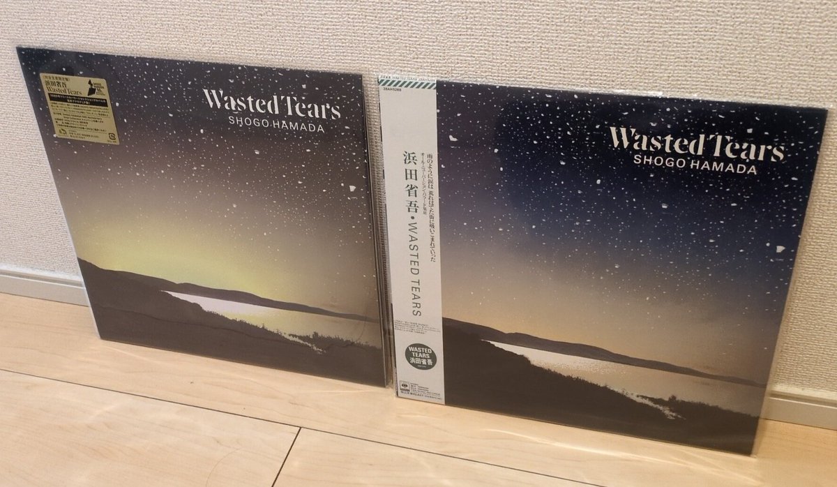 二十代の浜田省吾大ファン！ (@1Surfbound) / Posts / X