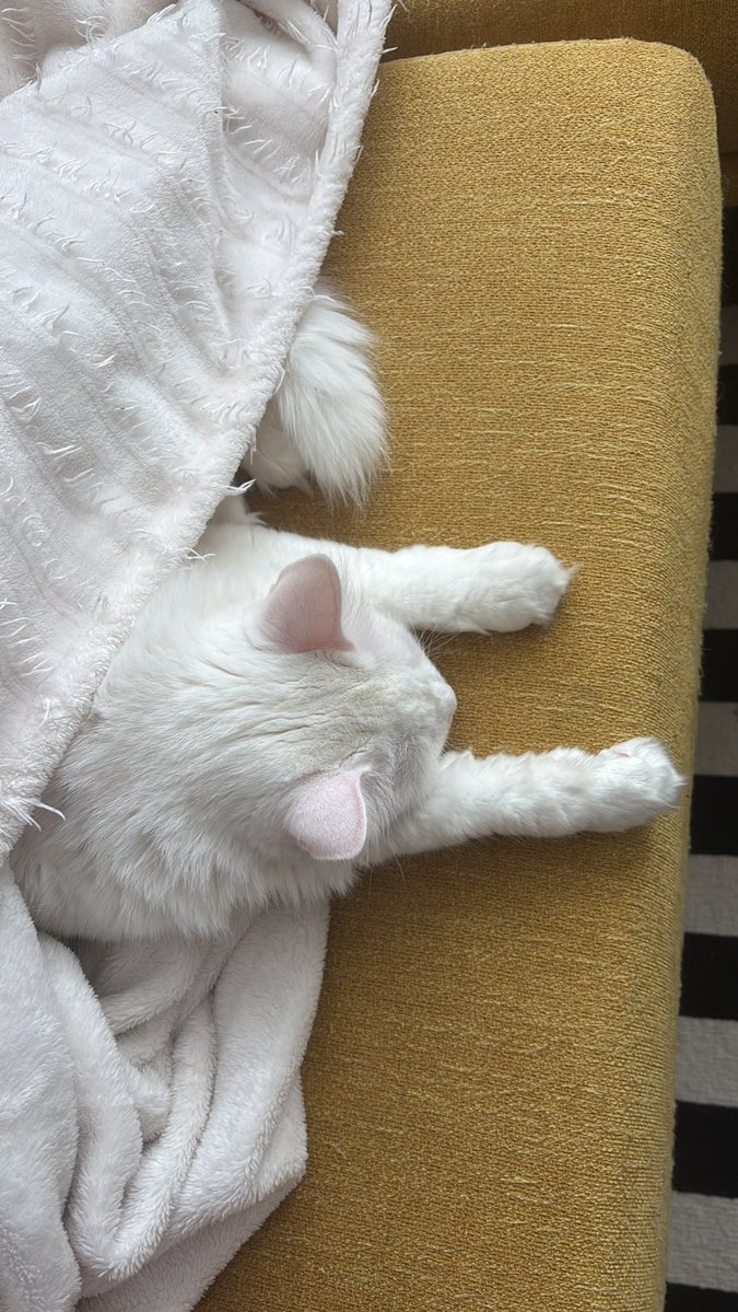 קשה קשה לקום