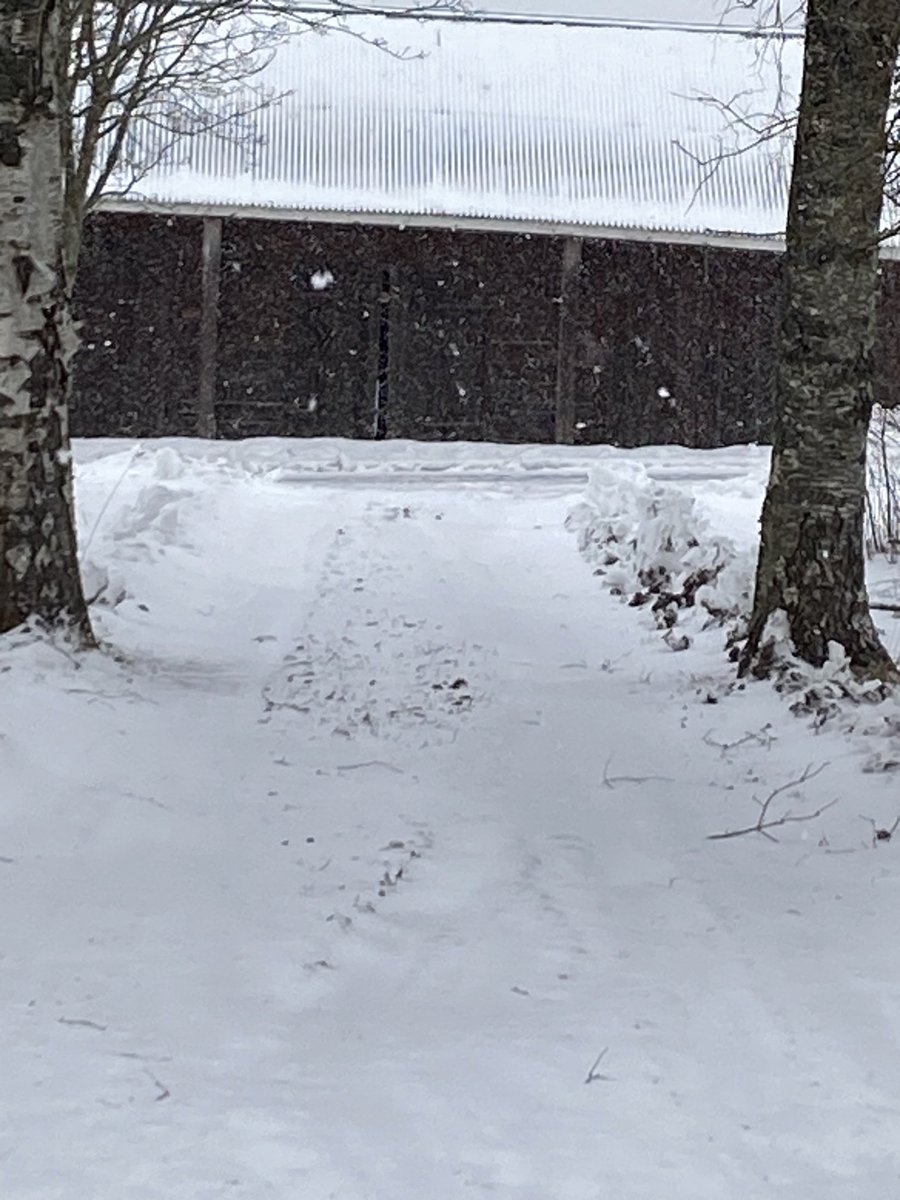 Bactonhunt tweet media