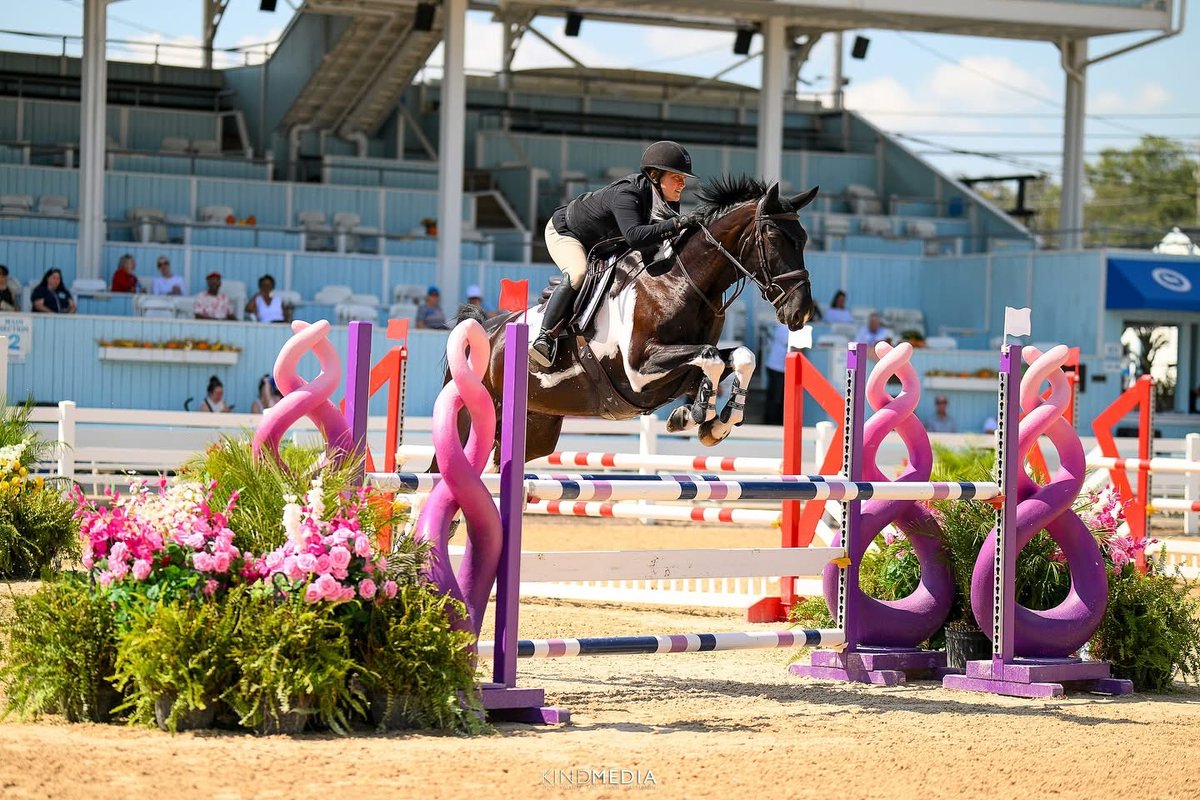 If you’re looking for a horse that turns heads and has the talent to match, “Snip” is your guy. Bred specifically for his striking black and white coat, Snip is as flashy as he is athletic. Sired by the legendary Emerald, he combines elite bloodlines… dlvr.it/TQXTxt