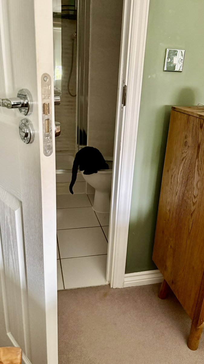 Why drink out of the fresh water I’ve left you mate, just bury your head in the ensuite toilet
Chateauneuf-du-poop